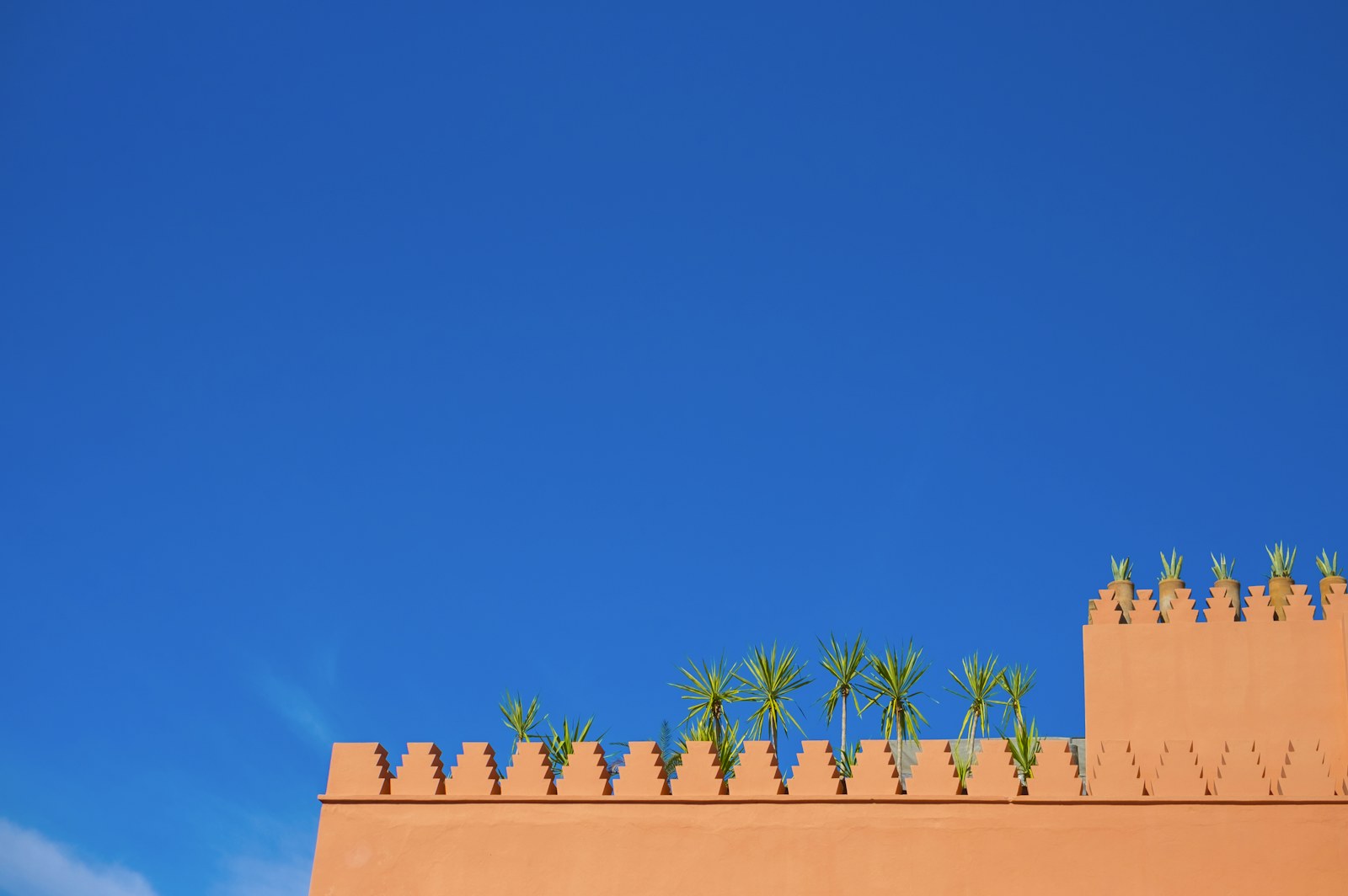 Orange rooftop wall with small palms against a deep blue sky
